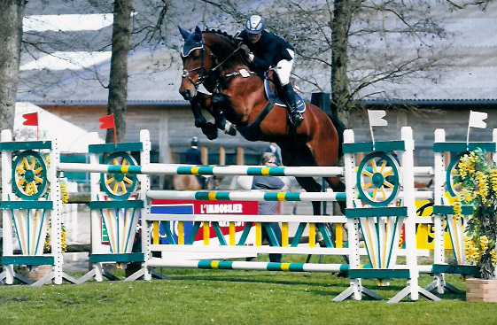 CSIO***** Lummen 3/5/2008